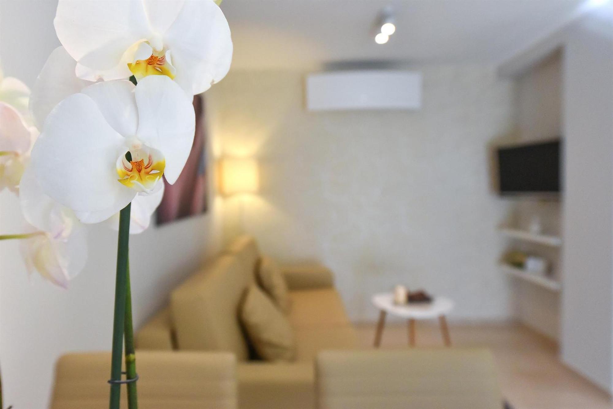 Villa Slavica 1 Водице Номер фото