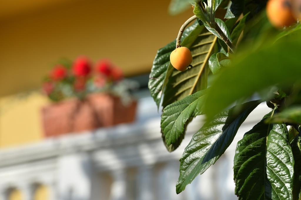 Villa Slavica 1 Водице Экстерьер фото